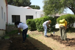 12386_152290411612069_451281069_n