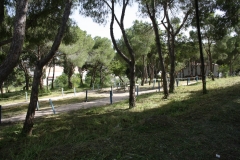 66059_152291138278663_352978589_n