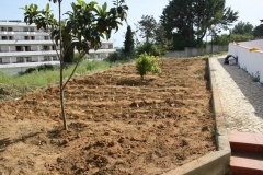 935126_152291078278669_112042607_n