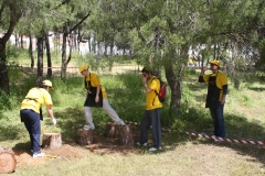 935394_152289088278868_1551186745_n