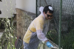 935719_152288714945572_64211906_n