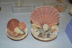 43B