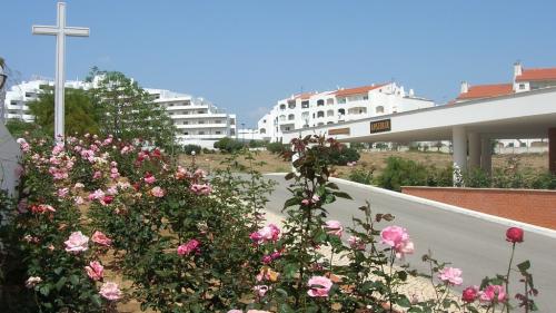 Estrutura Residencial para Idosos O Roseiral